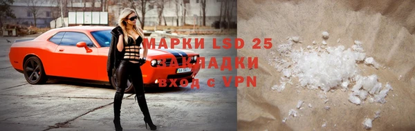 шишки Беломорск