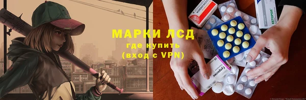 шишки Беломорск