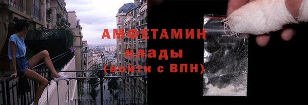 шишки Беломорск