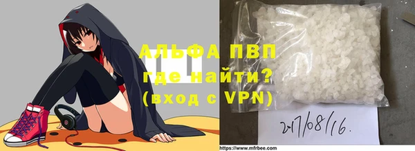 шишки Беломорск