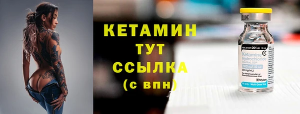 шишки Беломорск
