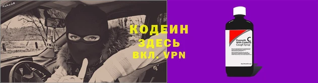 шишки Беломорск
