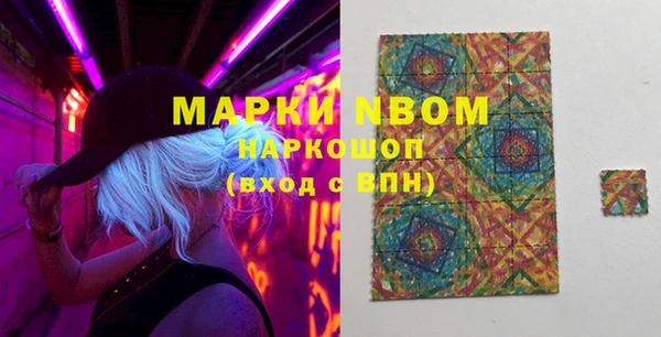 прущие грибы Новозыбков