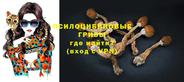 шишки Беломорск