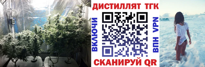 ТГК Wax  это как зайти  Нея 